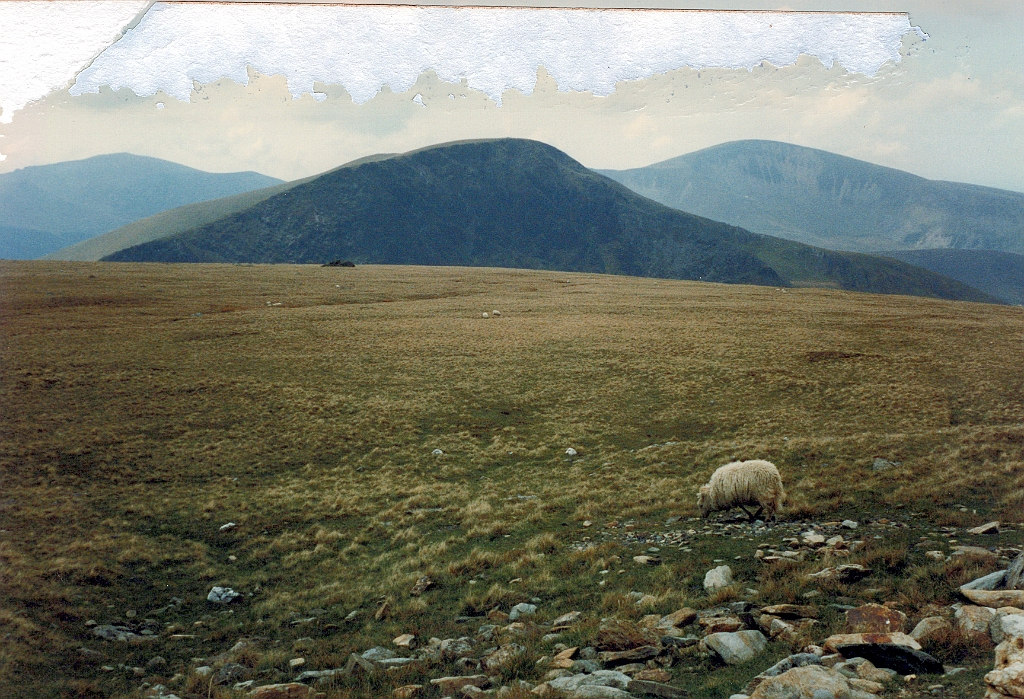 1996 - Grande-Bretagne 07 (Entre Snowdon et Llanberis - Mai 1996).jpg